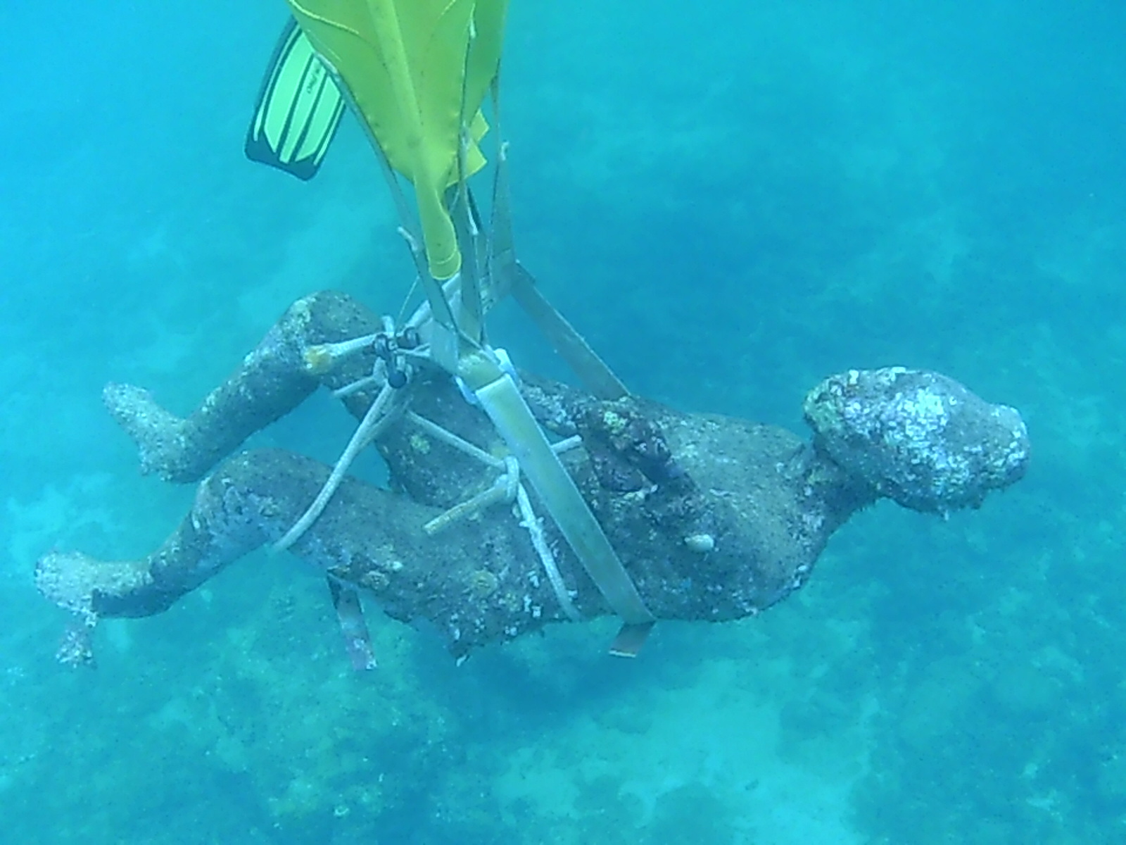 Grenada unveils restored Grenada Underwater Sculpture Park