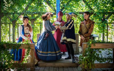 Texas Renaissance Festival open for 2023 weddings