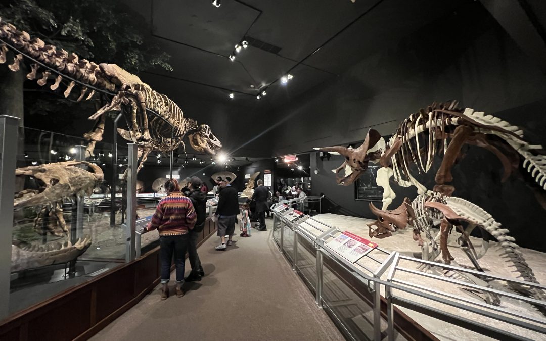 Visit Montana highlights Montana Dinosaur Trail for summer visitors.